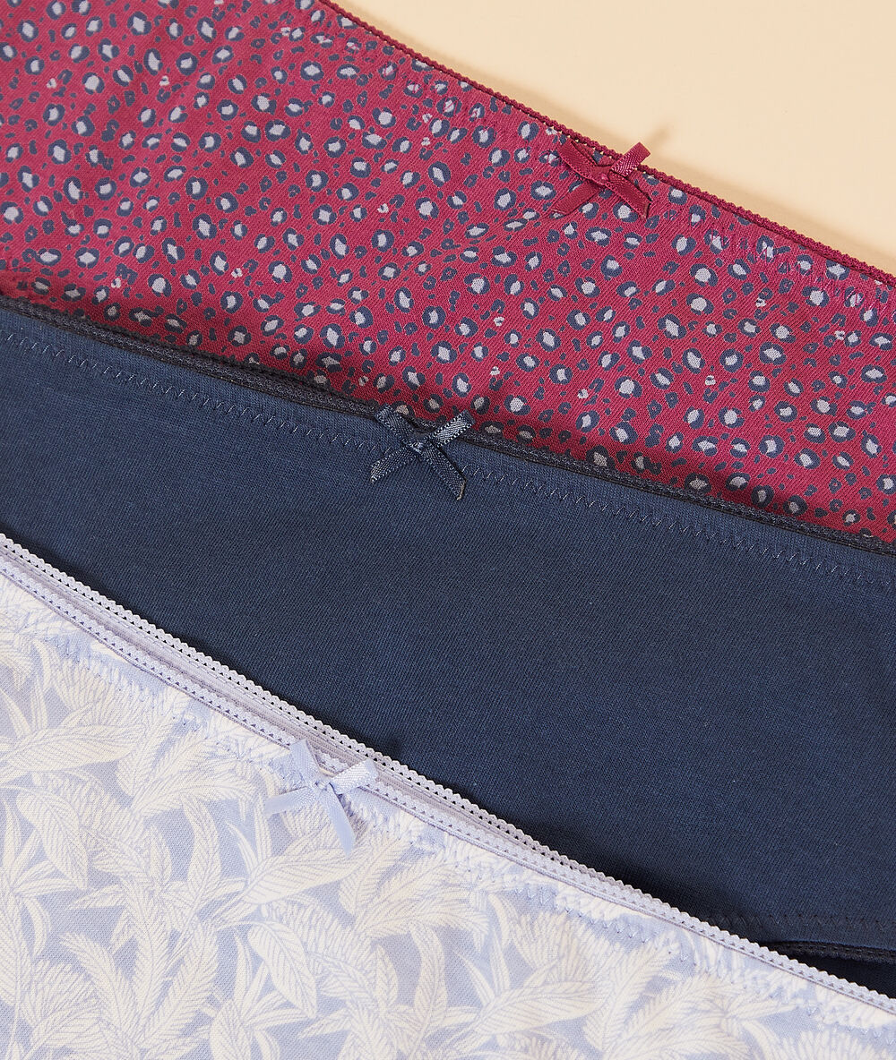 Lote de 3 culotes estampados de algodón ciruela.