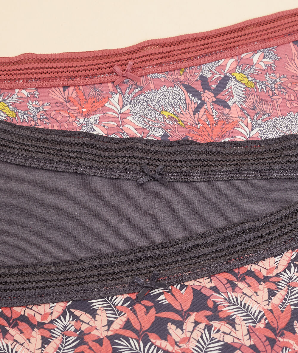 Lote de 3 culotes estampados de algodón coral.