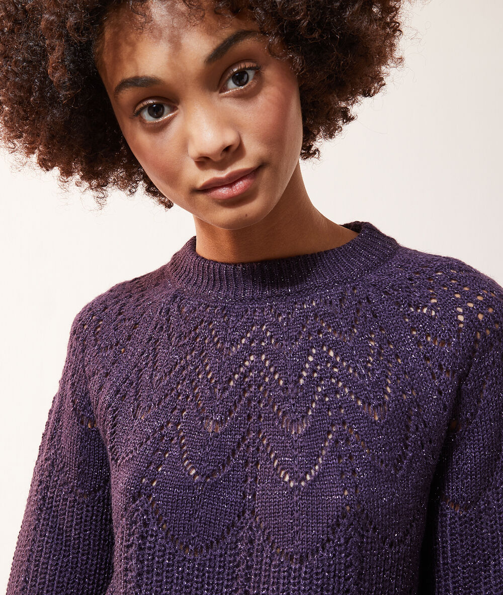 Pull en maille pointelle à fils métallisés aubergine.