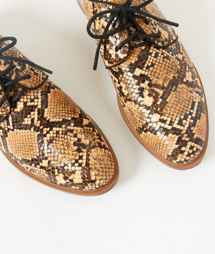 Derbies efecto serpiente c.camel.